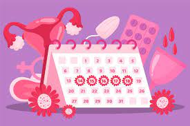 Menstrual cycle after 40 years: what changes are expected?, фото